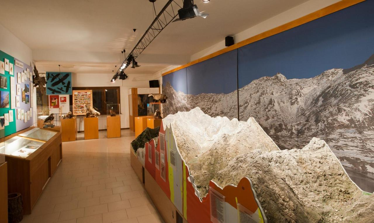 הוסטל Casa Del Parco Dell'Adamello Di Vezza dʼOglio מראה חיצוני תמונה